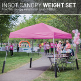 US Weight Ingot Heavy Duty Canopy Weights 4-Pack Set for Pop-Up Tents